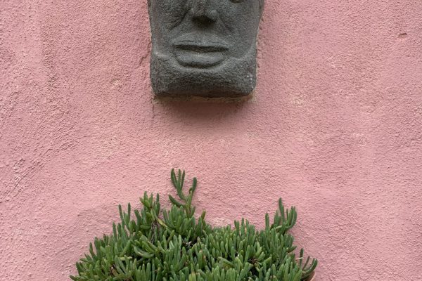 IMG_1973